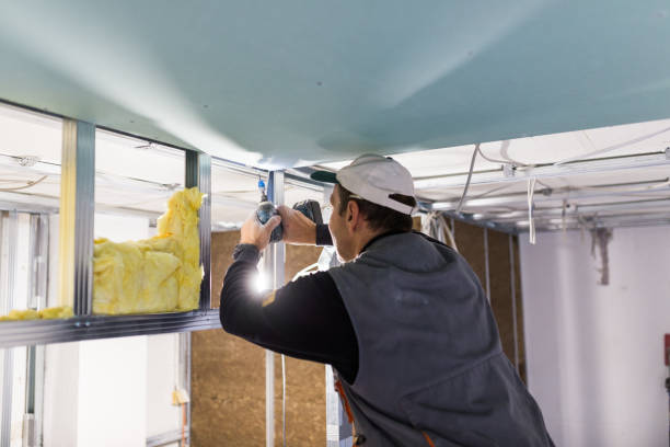Best Specialized Insulation Services in Santa Claus, IN