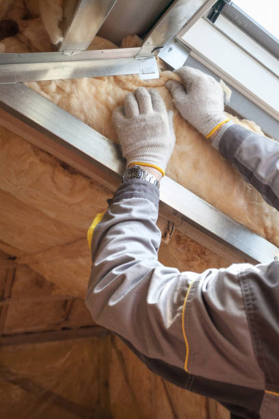 Best Residential Insulation in Santa Claus, IN